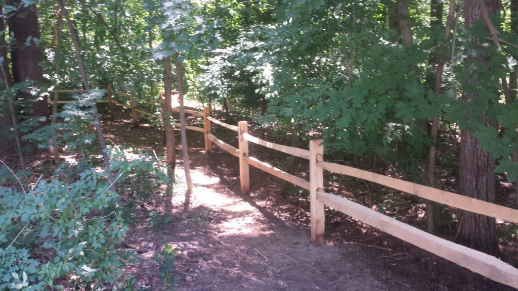 Locust Split Rail