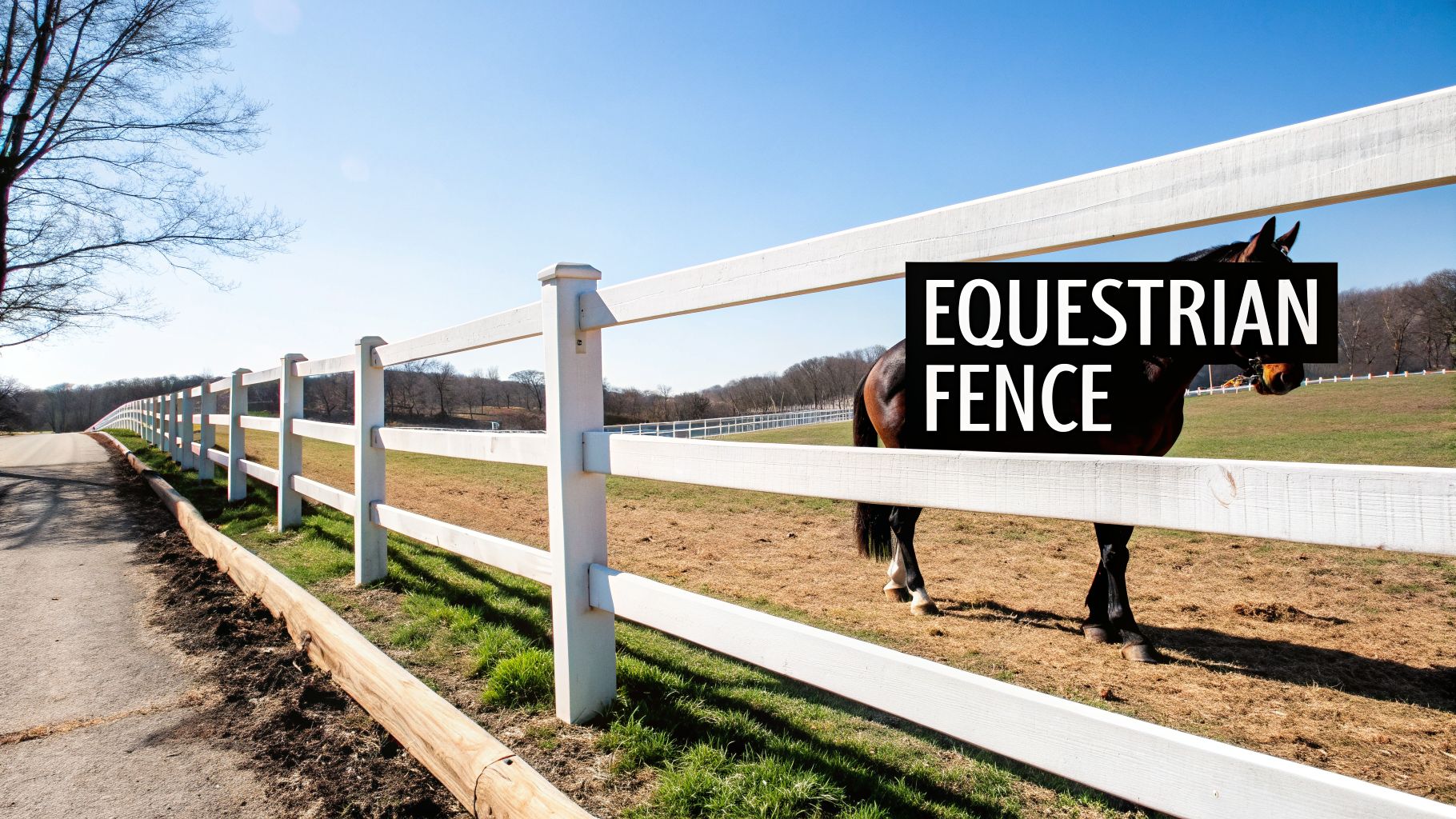 A long white equestrian fence runs along a path with a brown horse in a sunny field.