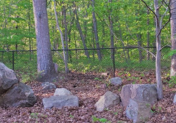 WOODED-AREAS-4-H-Black-Chain-Link-In-Wooded-Area-1024x408